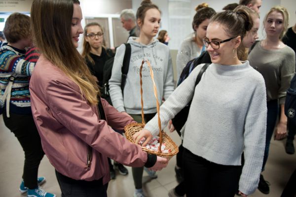 Degustacja cukierków 