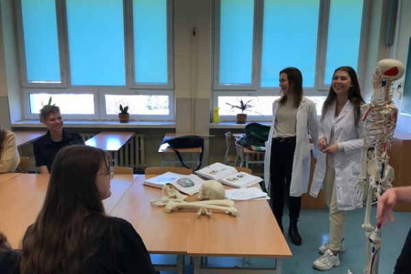 Układ kostny na stole