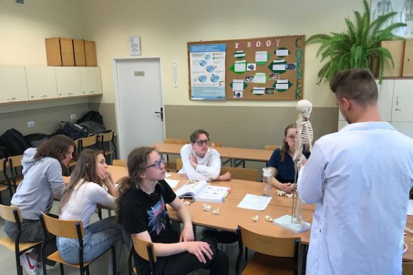 Prezentacja układu kostnego człowieka