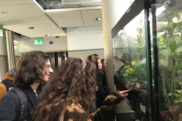 Uczniowie przy akwarium